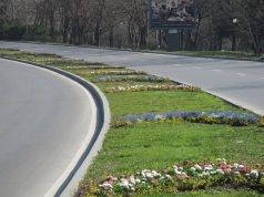 Тази пролет – двойно повече зацветени площи в район “Приморски” в морската ни столица