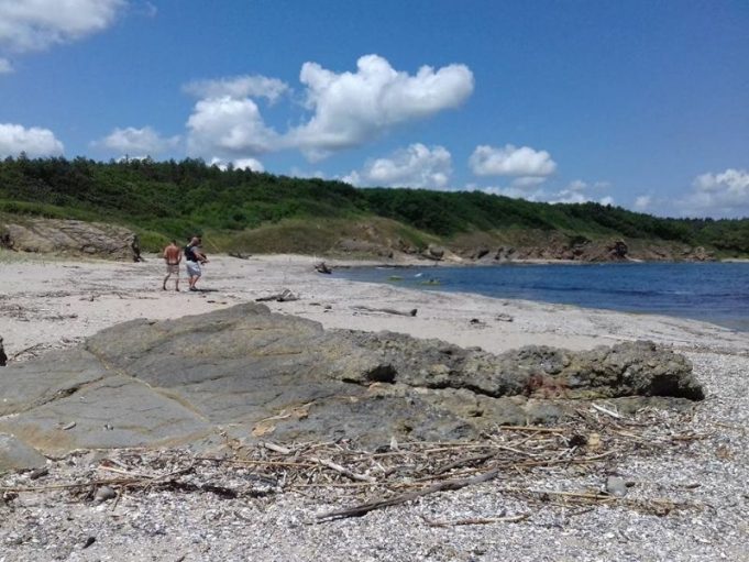 Булдозер нагази парка Странджа, изкопан е път до плаж в резерват (видео)