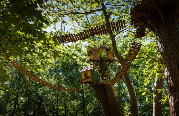 Нов горски увеселителен парк за 5 милиона паунда отваря врати във Великобритания на 23 май