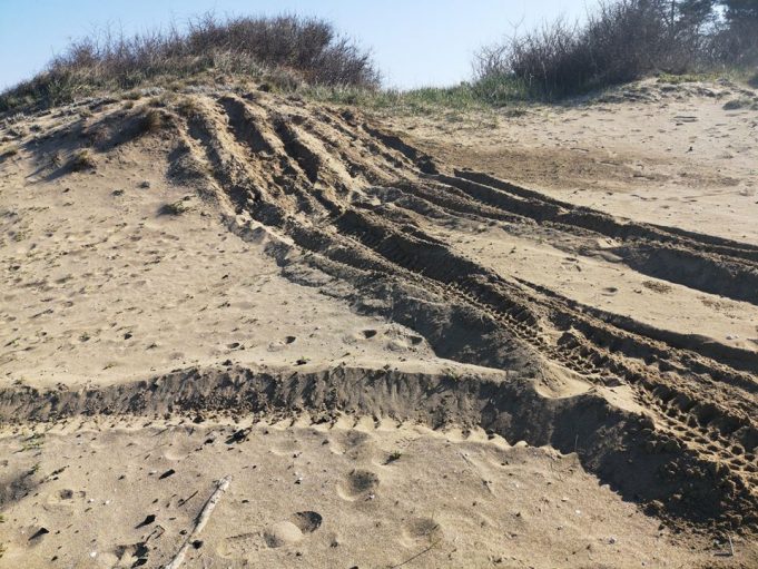 SOS: Джип унищожава дюните на плажа при Корал?!