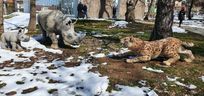 Във Вършец откриха единствения по рода си палеопарк на Балканите (снимки)