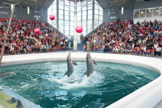 Делфинариумът във Варна получи сертификат за отлични постижения от британска туристическа организация