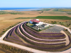 DiVes Winery с признание от най-престижните винени събития в България