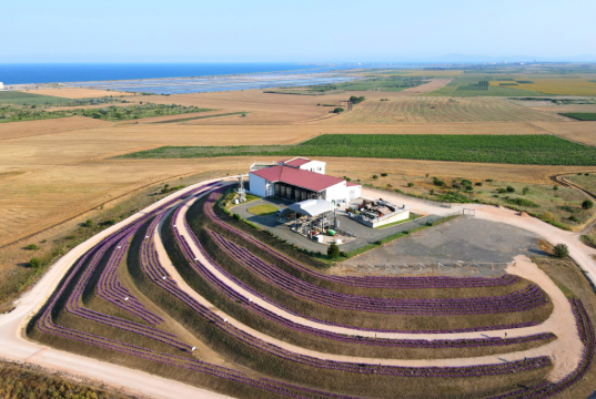 DiVes Winery с признание от най-престижните винени събития в България