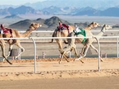 Celestyal разширява програмата си от брегови екскурзии по маршрута „Iconic Arabia”