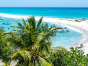 Туроператорът Sharky Adventure обяви шести директен полет до райските плажове на Мадагаскар