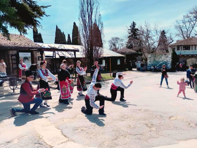 IMG-1b317952cace1f10e63c24776c4403f7-V