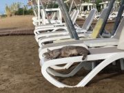 В Турция отбелязват сериозен спад на туристическите резервации заради напрежението в Близкия изток