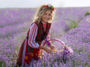 Чирпан се подготвя да посрещне хиляди гости от страната и чужбина на 5-ия Международен фестивал на лавандулата
