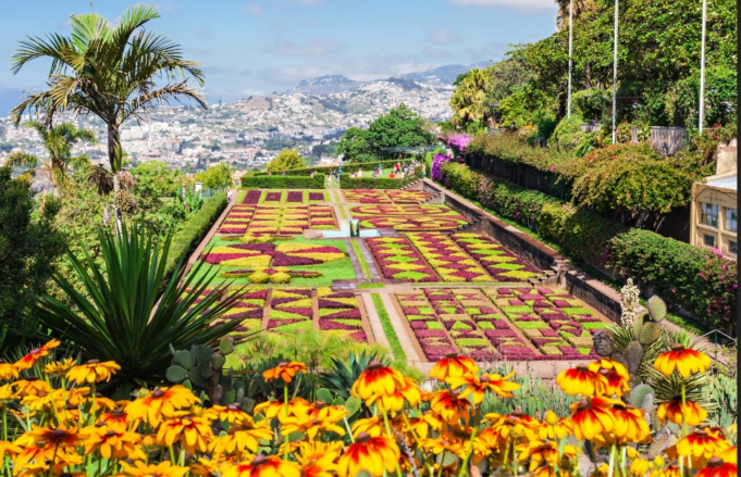 madeira fanagoria travel
